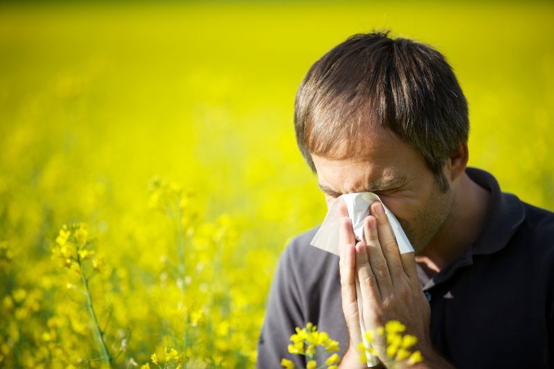 Frühling Allergie